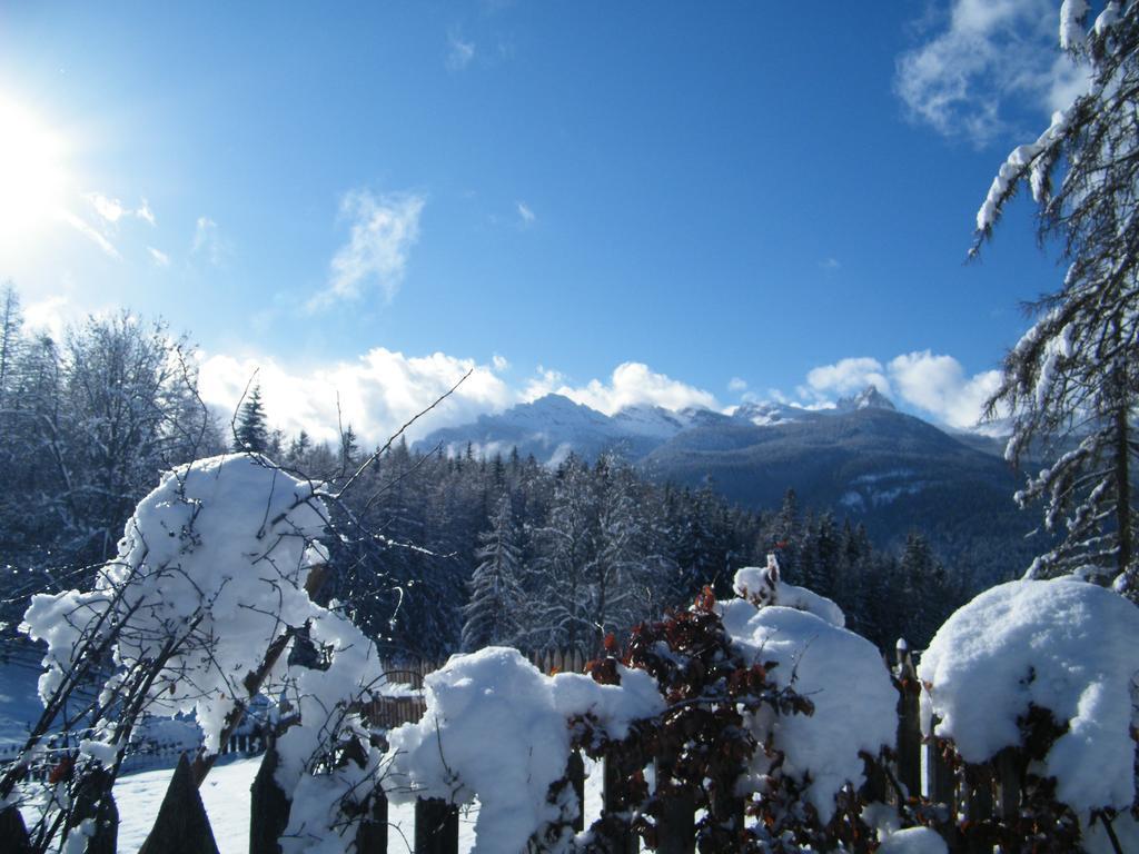 Fattoria Meneguto Agriturismo Degasper Giorgio Cortina d'Ampezzo Ngoại thất bức ảnh