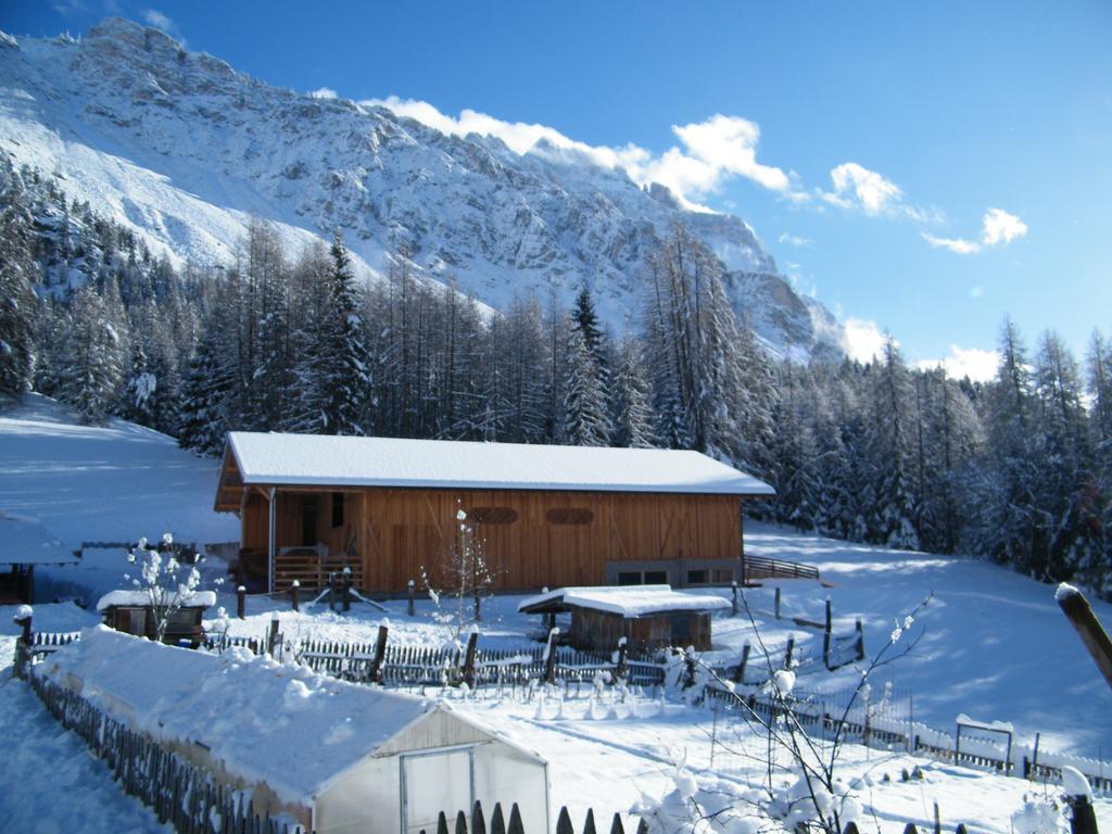Fattoria Meneguto Agriturismo Degasper Giorgio Cortina d'Ampezzo Ngoại thất bức ảnh